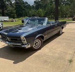 Pontiac-Gto-1965-Blue-Blue-19