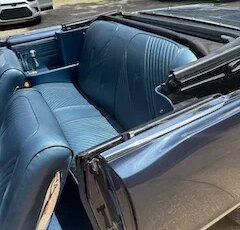 Pontiac-Gto-1965-Blue-Blue-6