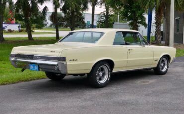 Pontiac-Gto-1965-Mayfair-Maize-Gold-30