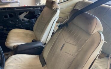 Pontiac-Gto-1969-Black-Tan-5