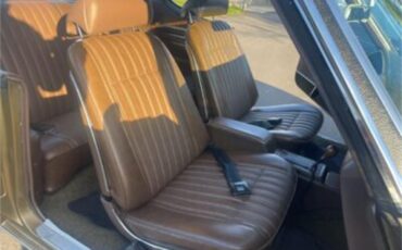 Pontiac-Gto-1970-Granada-Gold-Brown-31