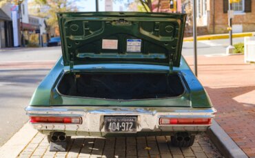 Pontiac-Gto-1970-Green-Green-38