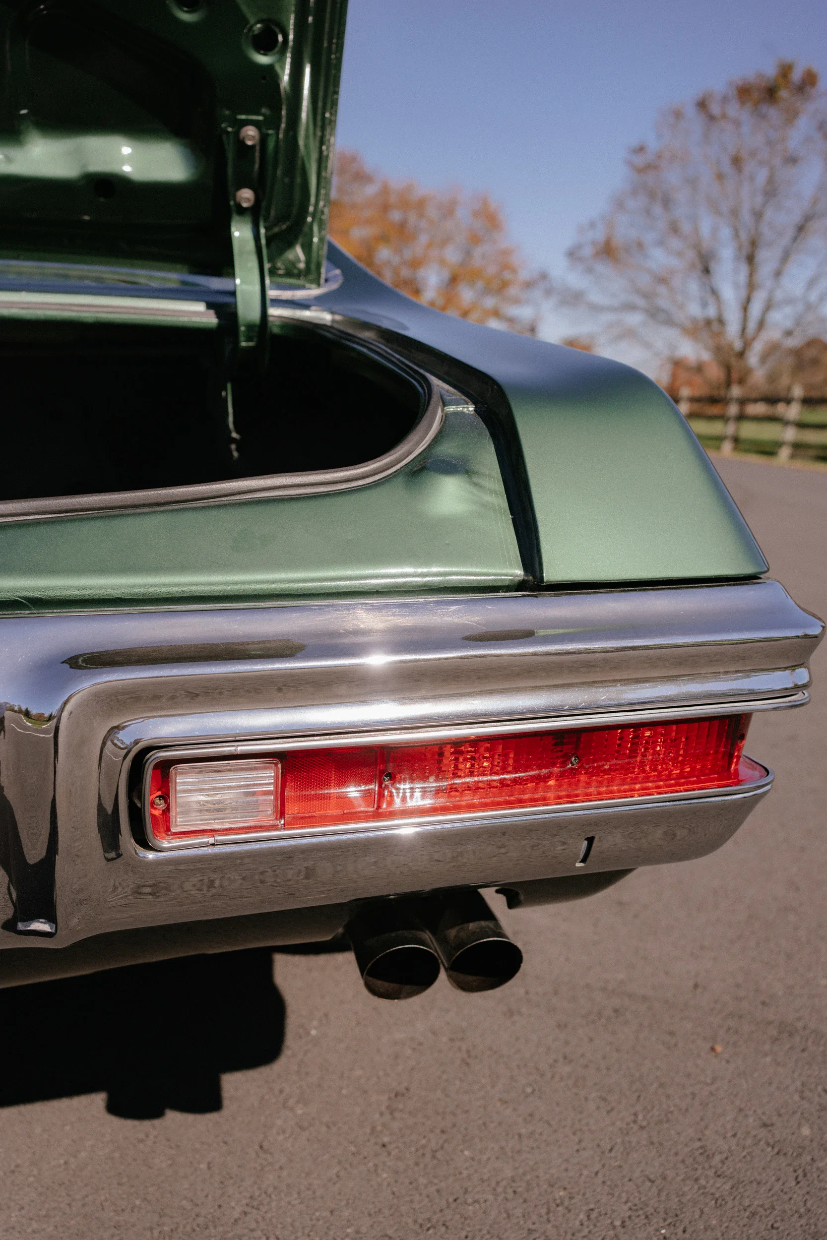 Pontiac-Gto-1970-Green-Green-9