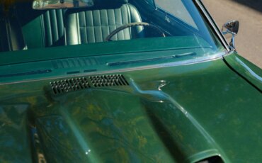 Pontiac-Gto-1970-Green-Green-96