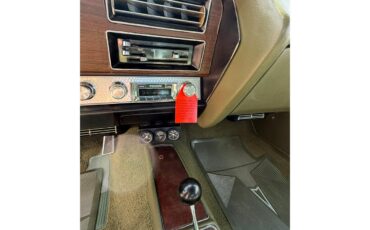 Pontiac-Gto-1971-Green-Green-12