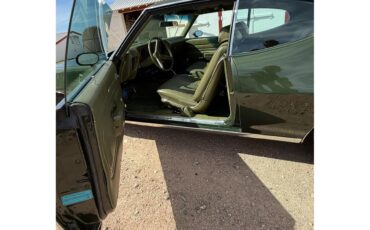 Pontiac-Gto-1971-Green-Green-13