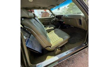 Pontiac-Gto-1971-Green-Green-9