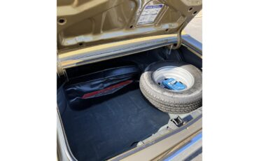 Pontiac-Gto-the-judge-1970-Granada-Gold-Saddle-21