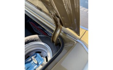 Pontiac-Gto-the-judge-1970-Granada-Gold-Saddle-23