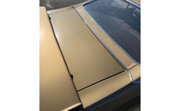 Pontiac-Gto-the-judge-1970-Granada-Gold-Saddle-3