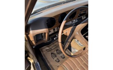Pontiac-Gto-the-judge-1970-Granada-Gold-Saddle-7