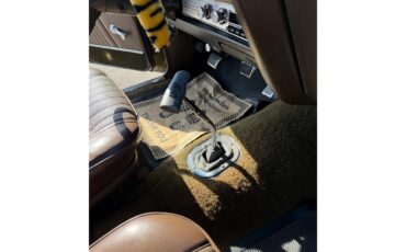 Pontiac-Gto-the-judge-1970-Granada-Gold-Saddle-9