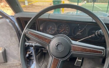 Pontiac-Parisienne-1985-Blue-Blue-13