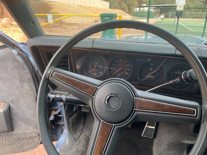 Pontiac-Parisienne-1985-Blue-Blue-13