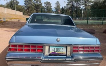 Pontiac-Parisienne-1985-Blue-Blue-14