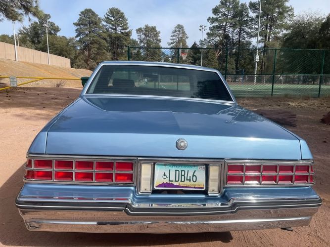 Pontiac-Parisienne-1985-Blue-Blue-14
