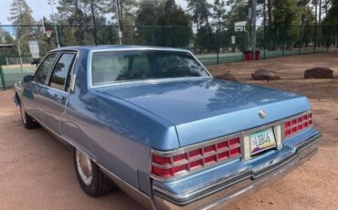 Pontiac-Parisienne-1985-Blue-Blue-15