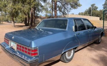 Pontiac-Parisienne-1985-Blue-Blue-16