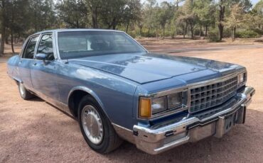 Pontiac-Parisienne-1985-Blue-Blue-17