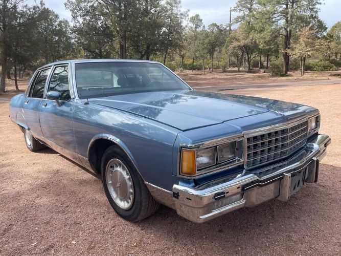 Pontiac-Parisienne-1985-Blue-Blue-17