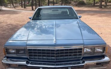Pontiac-Parisienne-1985-Blue-Blue-18