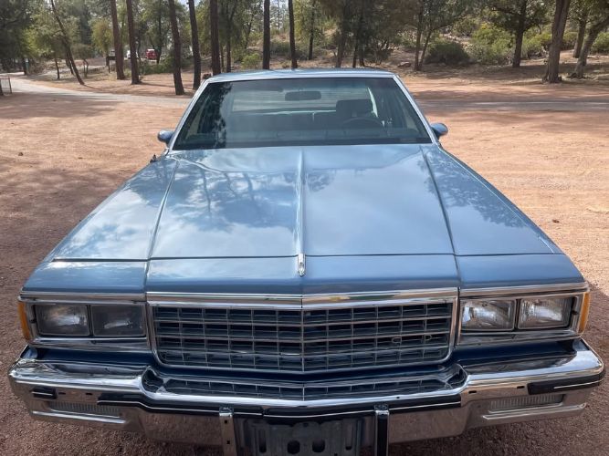 Pontiac-Parisienne-1985-Blue-Blue-18