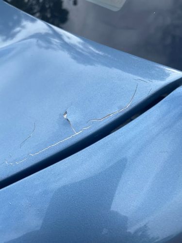 Pontiac-Parisienne-1985-Blue-Blue-3