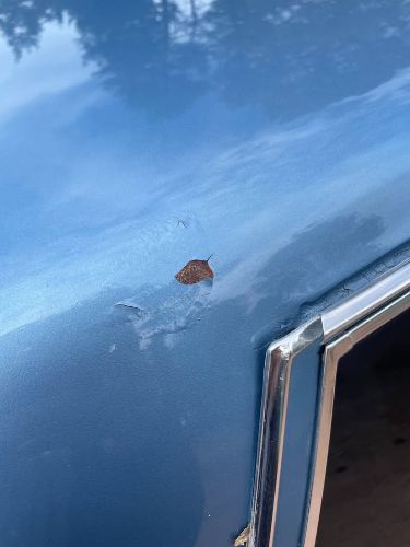 Pontiac-Parisienne-1985-Blue-Blue-4