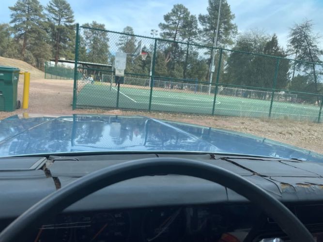 Pontiac-Parisienne-1985-Blue-Blue-6