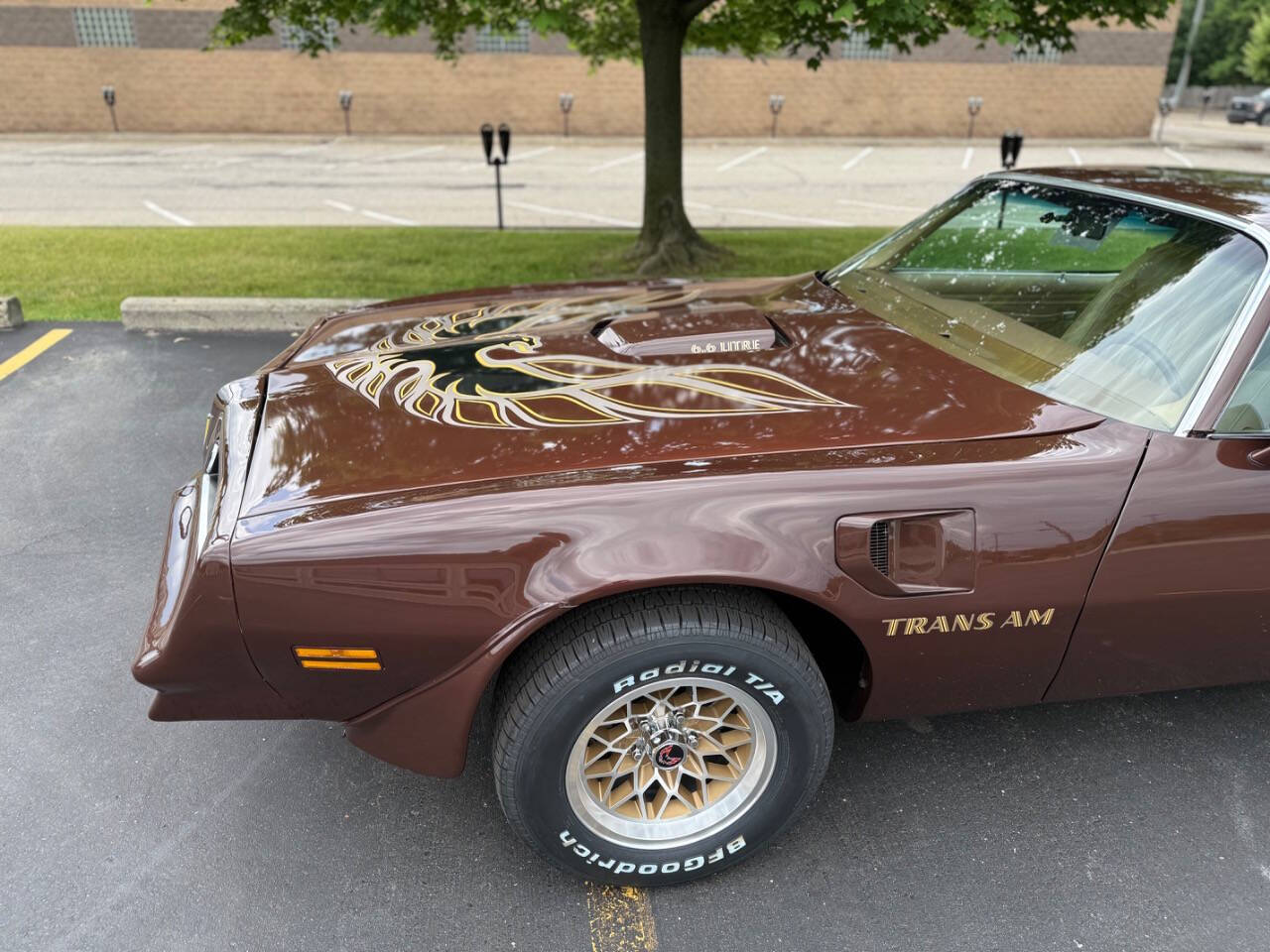 Pontiac-Trans-Am-1977-Coupe-12