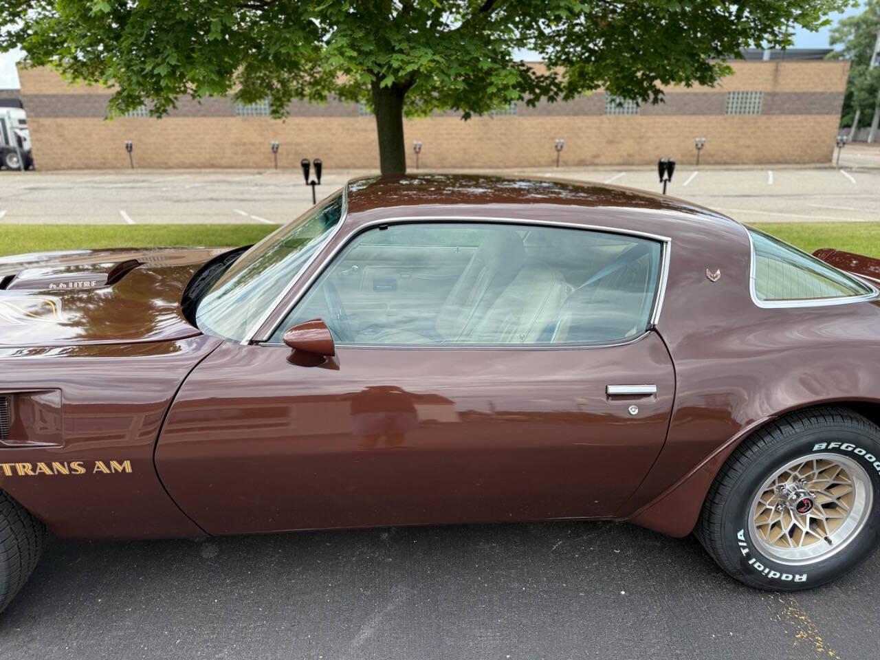 Pontiac-Trans-Am-1977-Coupe-13