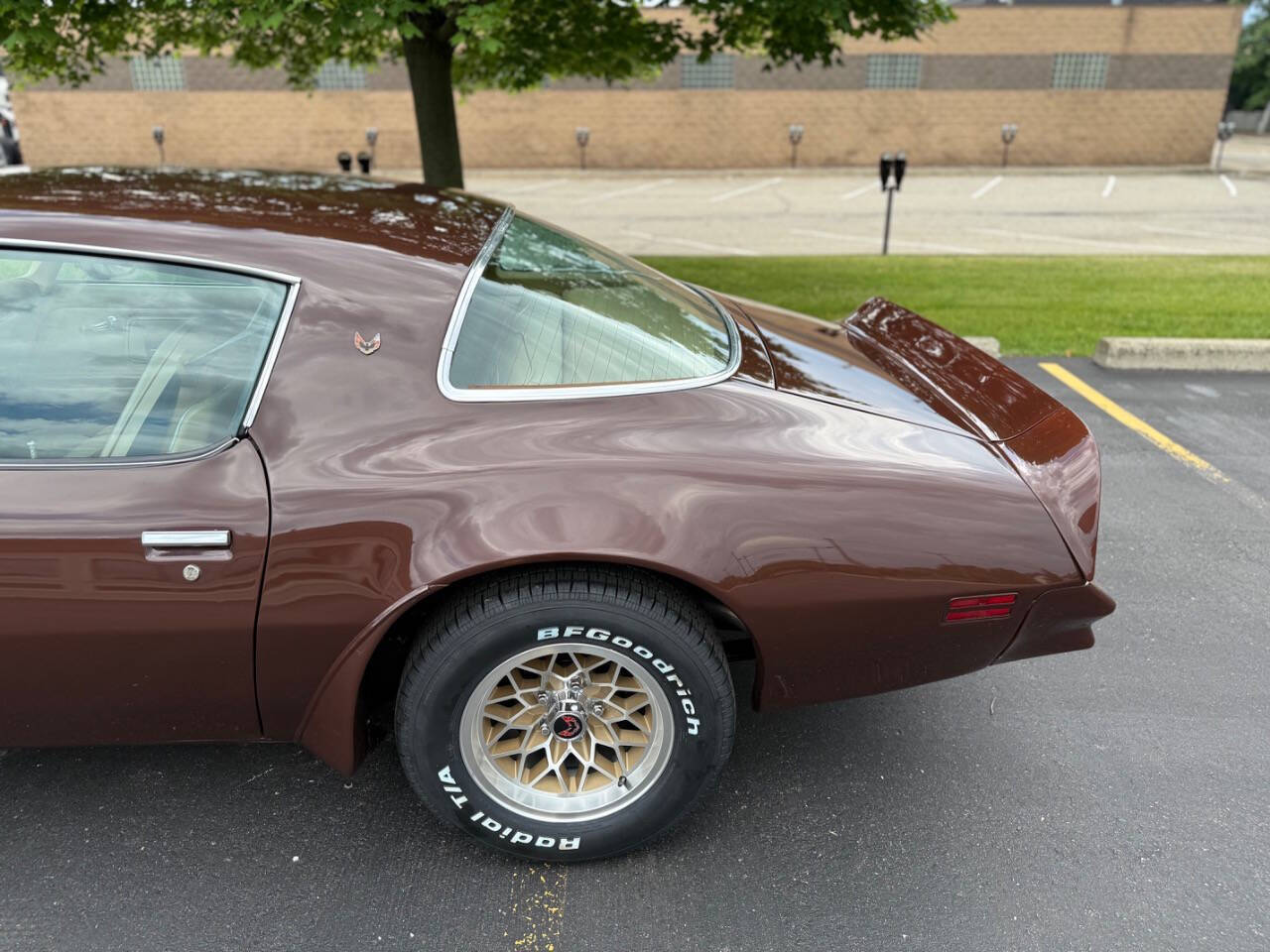 Pontiac-Trans-Am-1977-Coupe-14