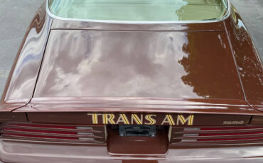 Pontiac-Trans-Am-1977-Coupe-18