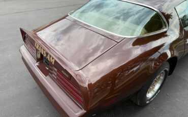 Pontiac-Trans-Am-1977-Coupe-19