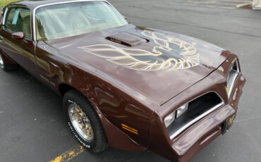 Pontiac-Trans-Am-1977-Coupe-8