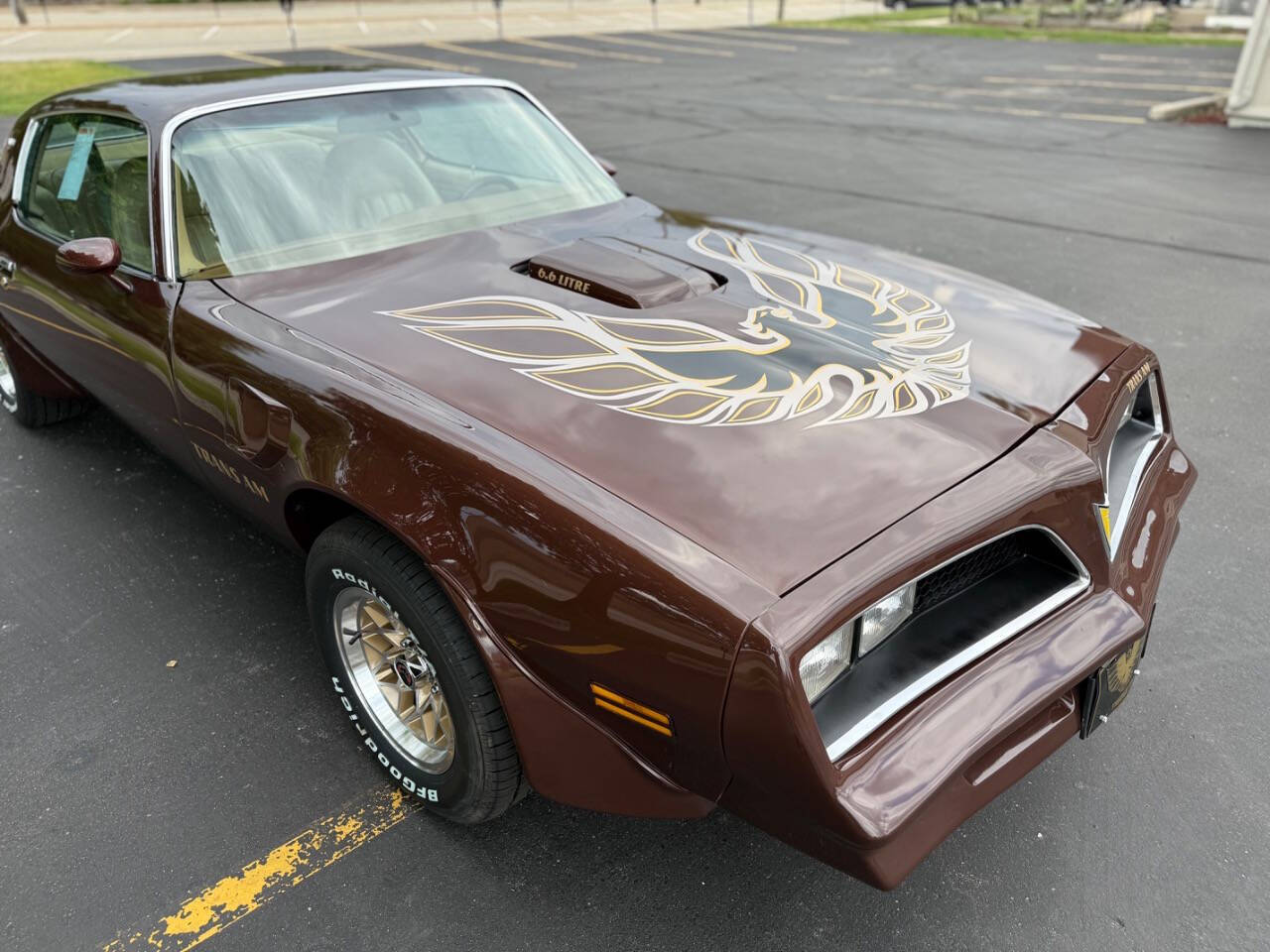Pontiac-Trans-Am-1977-Coupe-8