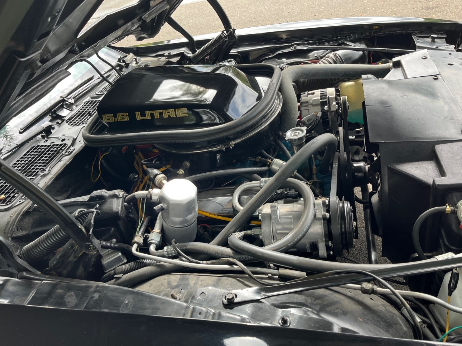 Pontiac-Trans-Am-1979-19