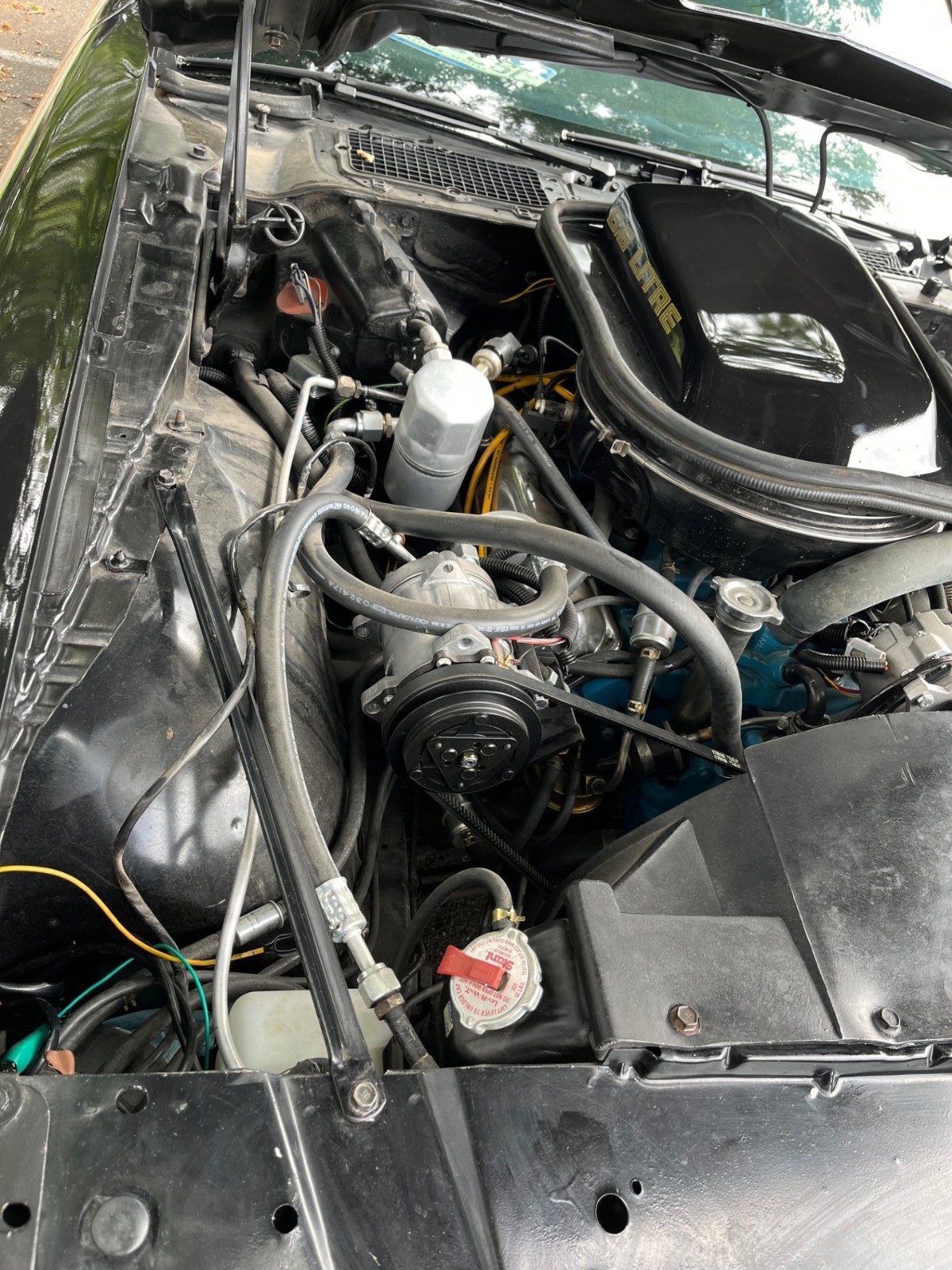 Pontiac-Trans-Am-1979-20