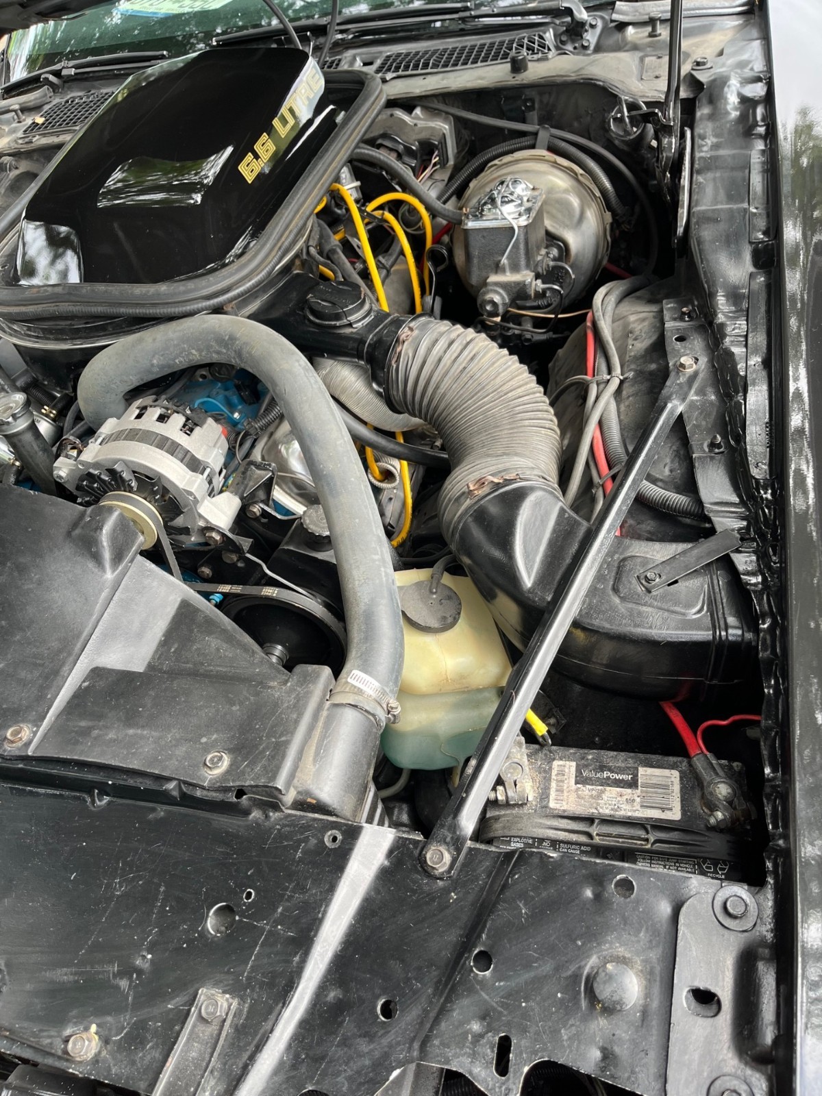 Pontiac-Trans-Am-1979-21