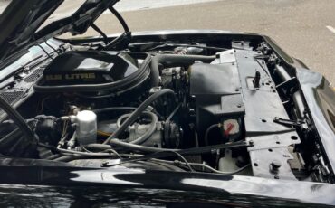 Pontiac-Trans-Am-1979-24