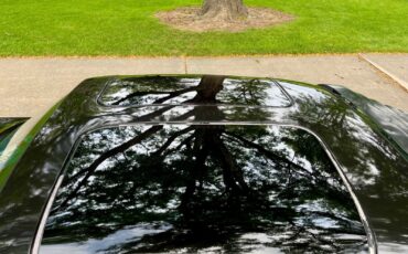 Pontiac-Trans-Am-1979-4