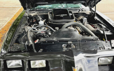 Pontiac-Trans-Am-1979-6