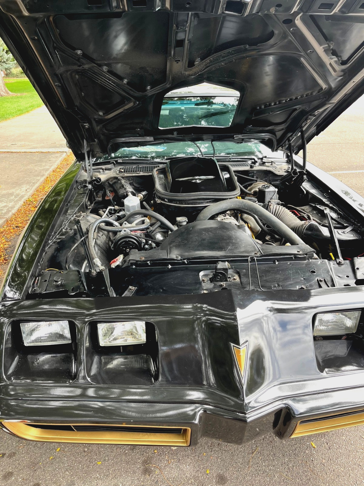 Pontiac-Trans-Am-1979-6