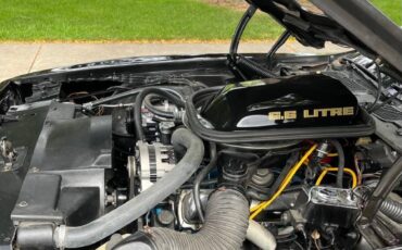Pontiac-Trans-Am-1979-7