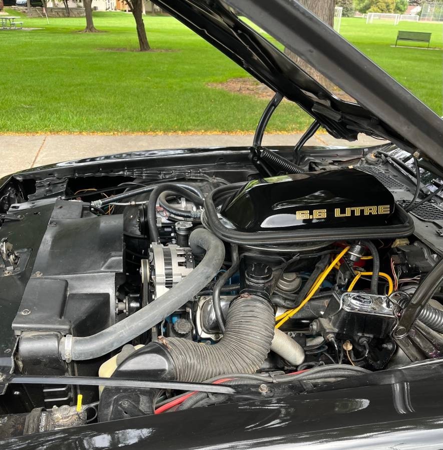 Pontiac-Trans-Am-1979-7