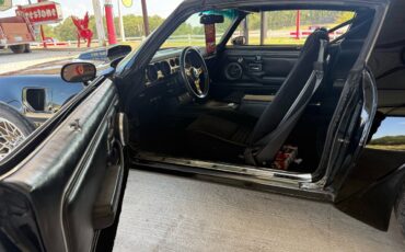 Pontiac-Trans-Am-1979-American-Muscle-Car-29