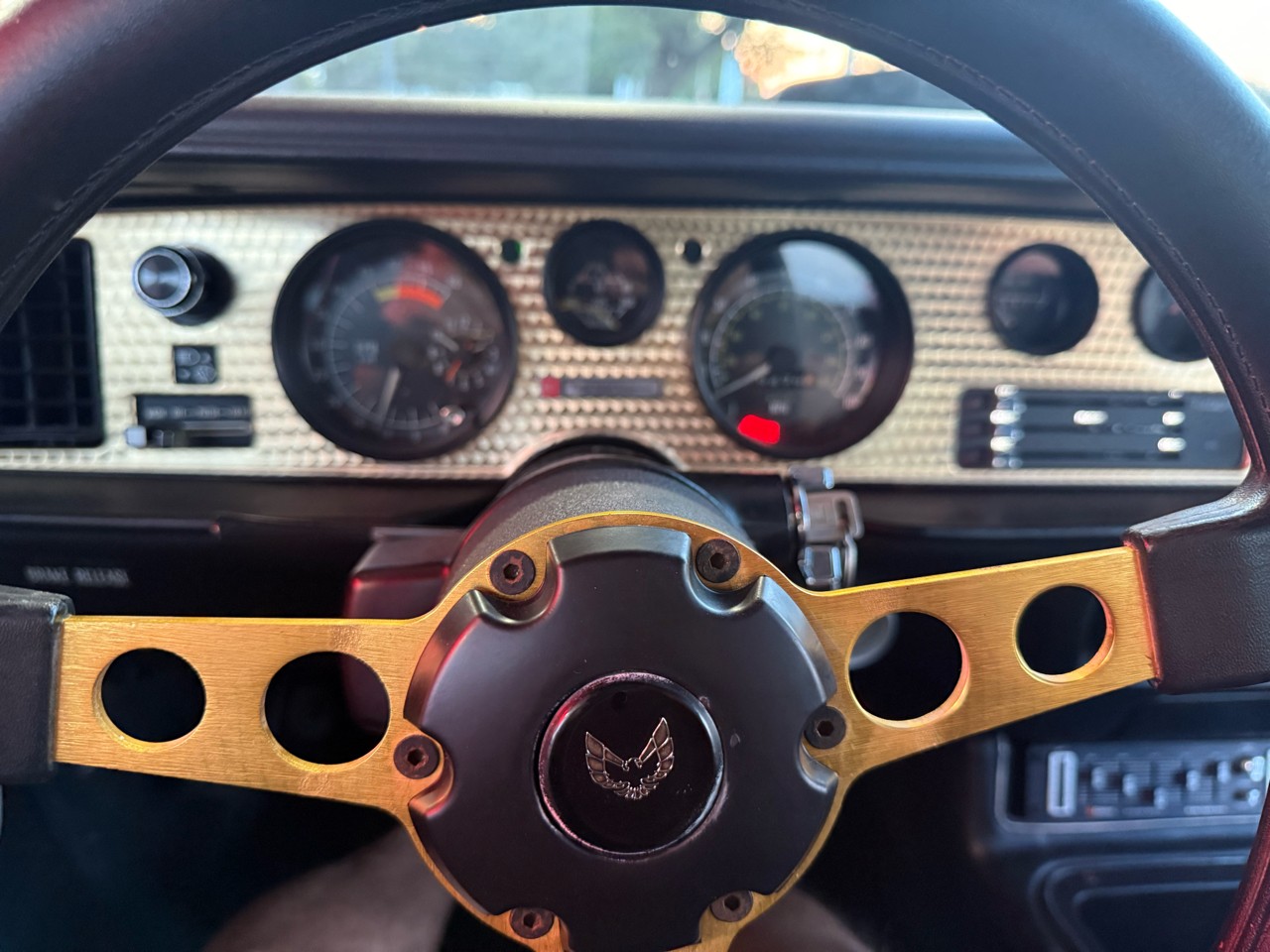 Pontiac-Trans-Am-1979-American-Muscle-Car-30