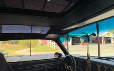 Pontiac-Trans-Am-1979-American-Muscle-Car-39