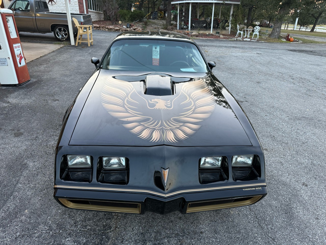 Pontiac-Trans-Am-1979-American-Muscle-Car-6