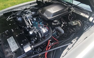 Pontiac-Trans-Am-1979-Coupe-14